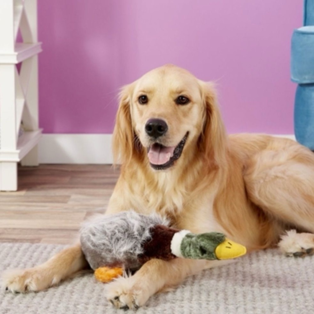 NWT Multipet Squeaky Plush Migrator Bird Mallard Plush Dog Toy